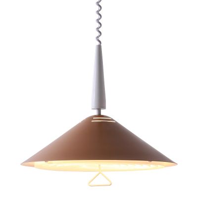 Chandelier Pendant lamp,metal