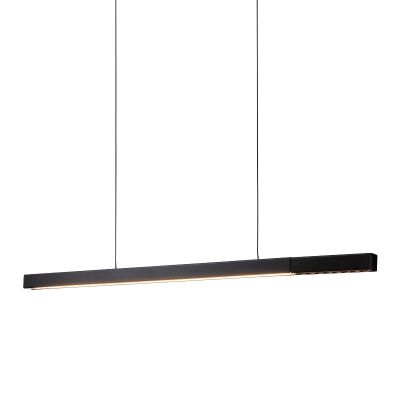 Chandelier Pendant lamp,metal