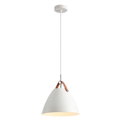 Chandelier Pendant lamp,metal