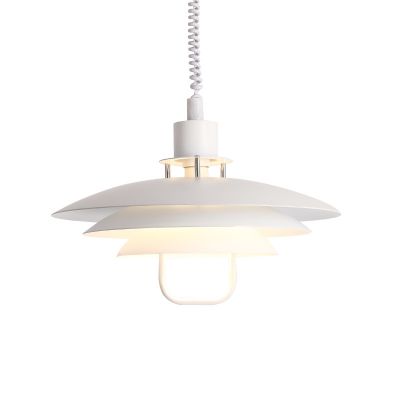 metal,Chandelier Pendant lamp