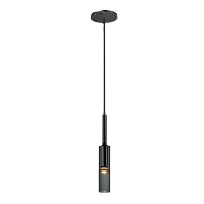 Chandelier Pendant lamp,Metal,glass