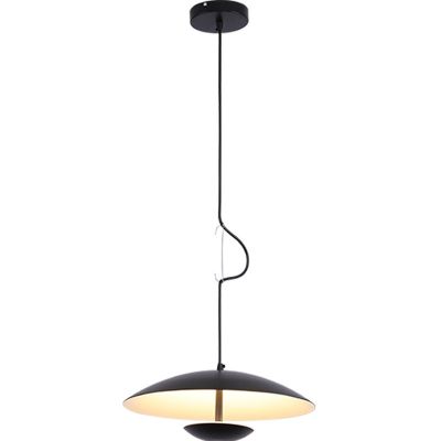Chandelier Pendant lamp,Metal