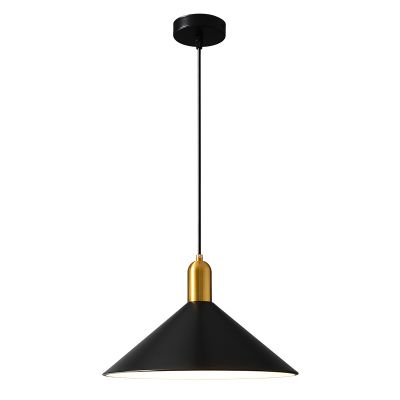 Chandelier Pendant lamp,Metal