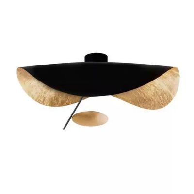 Ceiling lamps,Metal