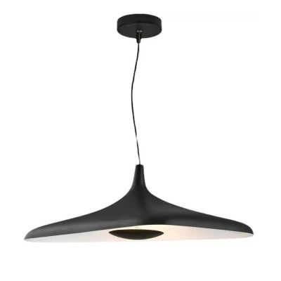 Chandelier Pendant lamp,Metal