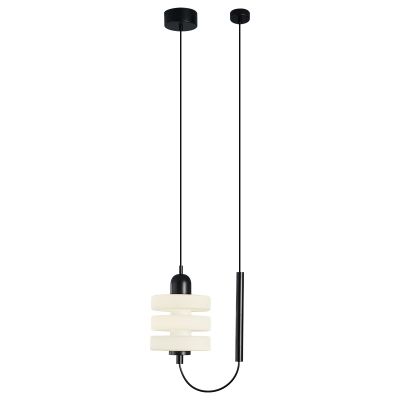 Chandelier Pendant lamp,glass,metal